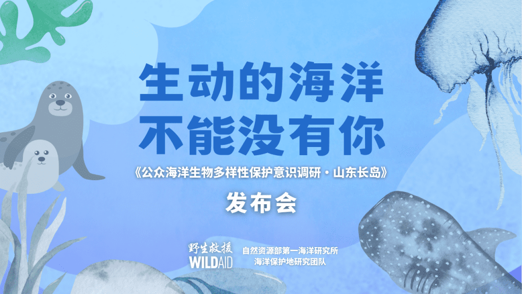 世界动物保护协会呼吁关注幽灵渔具问题，发展可持续渔业